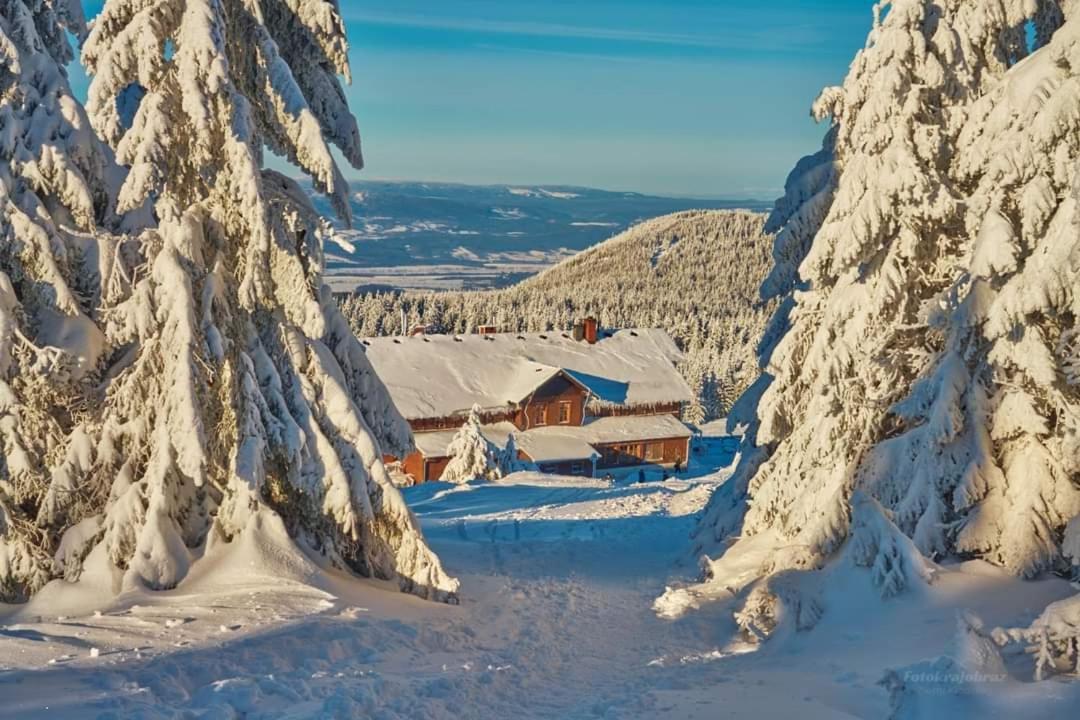 Agroturystyka,, Ranczo Kruszynki" Строне-Слёнске Экстерьер фото
