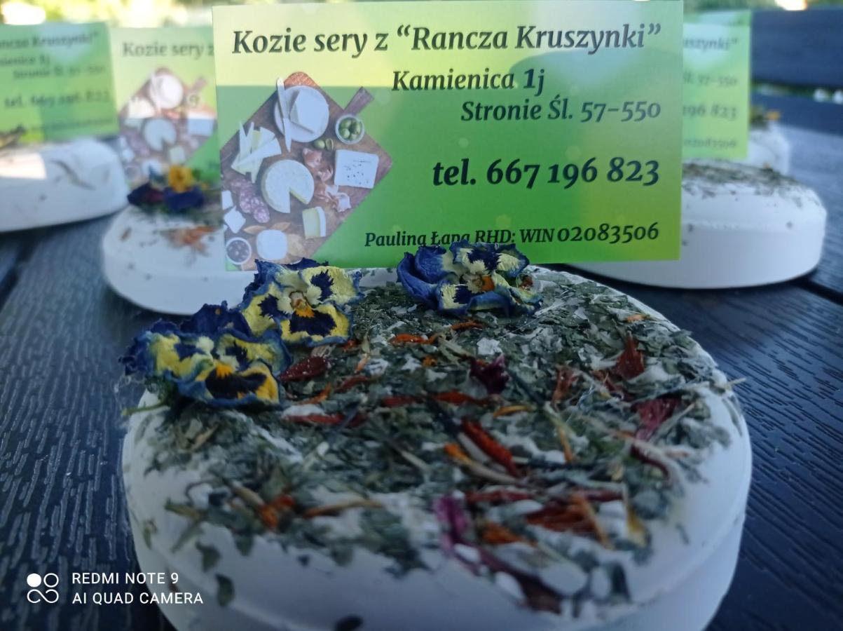 Agroturystyka,, Ranczo Kruszynki" Строне-Слёнске Экстерьер фото